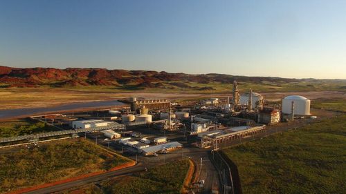 Prețurile ridicate la gaz metan riscă să ducă la o penurie de alimente în Marea Britanie. Ce este efectul “Lebăda Neagră”?