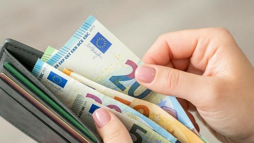 O adolescentă de 16 ani a găsit un portofel cu 7.000 de euro în apropierea unui șantier. Ce a urmat