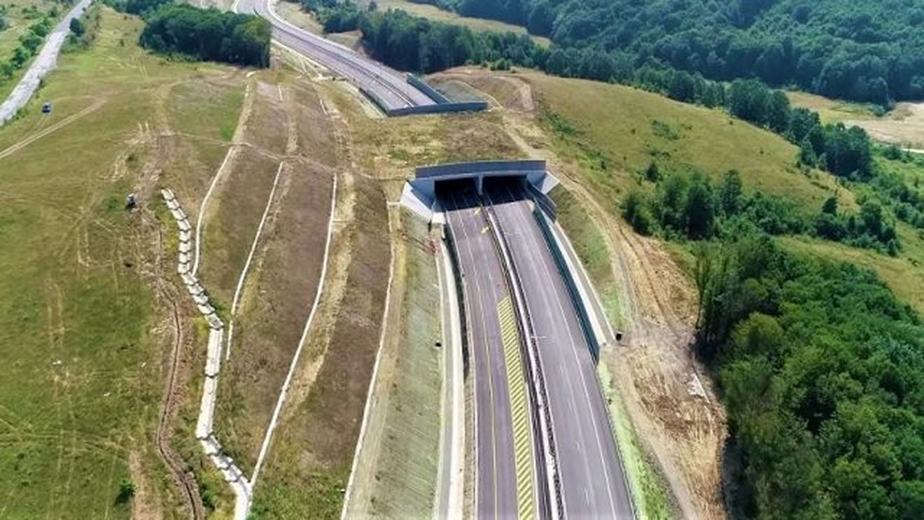 Grindeanu anunță că s-a relansat licitaţia pentru Lotul 2 al Autostrăzii Lugoj-Deva, secțiunile E şi D