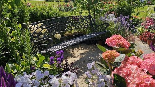 Din grădinile britanică și grecească în cele japoneză și persană: ”Grădini din jurul lumii” în Herăstrău, în acest weekend