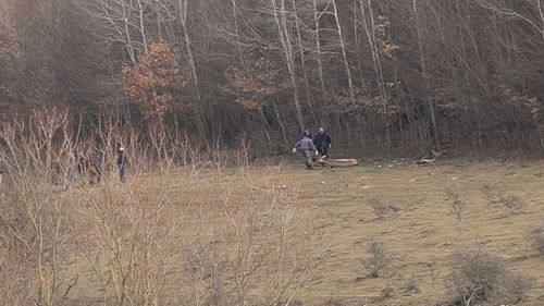 Șeful DSV Cluj, în scandalul ranch-ului în care sute de animale au fost lăsate să moară: La controale s-a constatat că animalele nu erau furajate corespunzător
