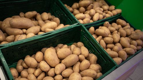 Eurostat: România, printre statele UE cu o recoltă ridicată cartofi, în 2023, cu peste un milion de tone / Germania produce cel mai mult: peste 11 milioane de tone
