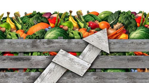 Analiză | Cum vor evolua prețurile alimentelor, până la sfârșitul lui 2025/ Prețurile la cereale și uleiuri vegetale ar putea depăși +12% până în decembrie/ Prețul la carne și lactate va crește cu 7–9%