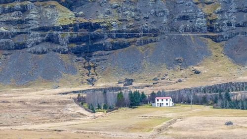 REPORTAJ În căutarea copacilor pierduți. Din pădurile virgine până în țara de gheață și de foc - FOTO