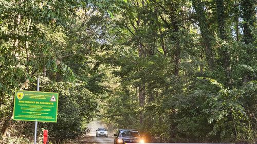 ONG-uri, grupări civice şi cetăţeni cer directorului general Romsilva rezilierea contractului care a deschis drumul forestier pentru trafic auto în Pădurea Băneasa