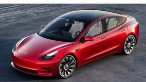 Tesla vrea să fabrice în India o mașină low-cost de 24.000 de dolari/ Cel mai ieftin model Tesla este vândut în China cu peste 32.000 de dolari