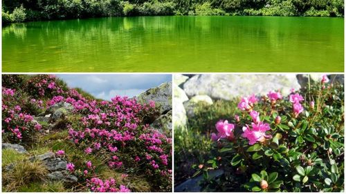 Peisaje rare, zone istorice și cabane ”dincolo de nori”. Cele mai bune locuri pentru fotografiat, din Alba