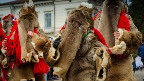 Jocul Ursului și alte trei dintre cele mai fascinante tradiții și obiceiuri de iarnă cu origini precreștine din Europa