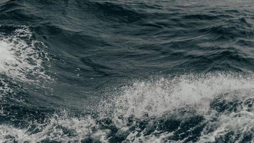 Căutări ale unui marinar georgian dispărut pe mare de la bordul unei nave, în dreptul staţiunii Olimp