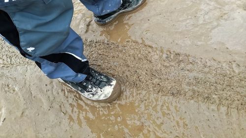 Noroiul scos de pe șantiere, una dintre marile probleme ale Timișoarei / ”E clar e nevoie de investiții în oraș, private și publice, dar e nevoie și de responsabilitate din partea constructorilor”