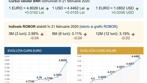 Nivel record al cursului leu / euro: Moneda europeană a depășit pentru prima oară pragul psihologic de 4,8 lei / Niveluri record și la dolarul american și la prețul aurului