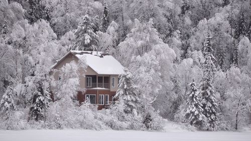 Fenomen rar în California de Sud: O furtună de iarnă „memorabilă” a adus zăpadă în regiunea unde localnicii nu au mai văzut de zeci de ani