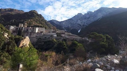 Un român acuză un călugăr român de la Muntele Athos că l-a împușcat din greșeală când a tras într-o pisică - Știrile Pro TV