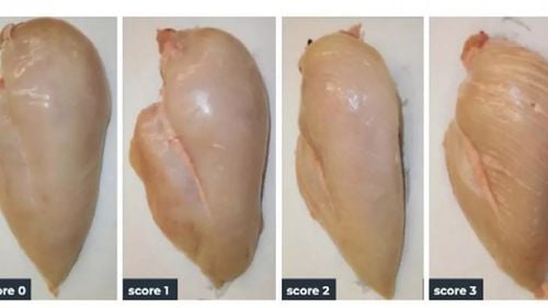 Piept de pui cu ”dungi albe” în magazinele Lidl din Italia / Asociațiile pentru protecția animalelor susțin că e un semn al îmbolnăvirii păsărilor / Lidl: ”Nu prezintă niciun risc pentru sănătatea consumatorului”