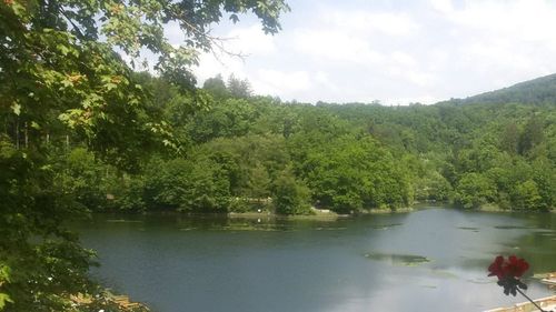 Mureş: Tarifele de acces la lacurile din Sovata, majorate din cauza preţurilor la energie / Lacul Ursu are cea mai mare concentraţie salină de pe planetă