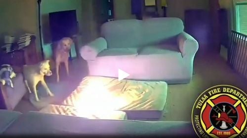 VIDEO Un câine a declanșat un incendiu într-o locuință din Oklahoma, după ce a ros o baterie externă de telefon