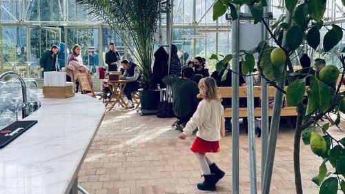 Un nou local atrage atenția clienților să-și țină copiii ”tot timpul așezați la masa lor”: După J'ai Bistrot, disputa s-a mutat în grădina Sera Eden din centrul Bucureștiului