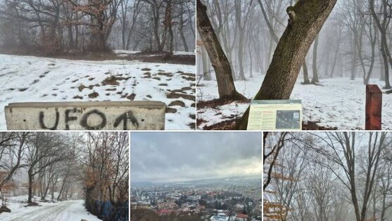 Activiștii clujeni cer să fie restricționat traficul auto spre pădurea Hoia și măsuri concrete pentru protejarea acestui spațiu forestier