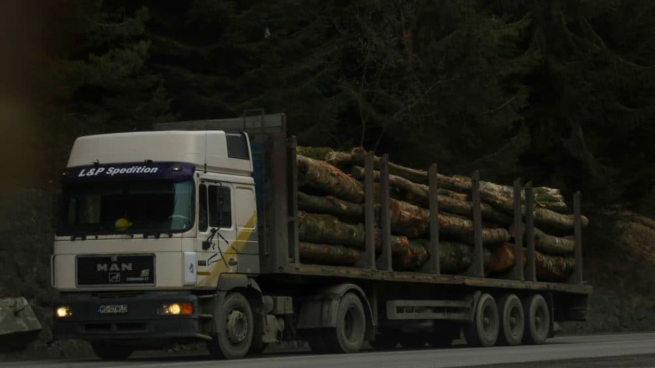 Camere de supraveghere a transporturilor de lemn, furate de persoane mascate sau acoperite cu vopsea în Mureș