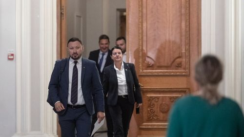 Ministrul Mediului: Noul Cod Silvic, în consultare publică. Acum putem spune că avem un act normativ scris de la zero