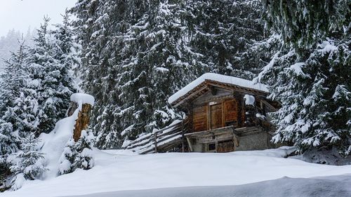 STUDIU Maramureş, Bucovina şi Valea Prahovei sunt în topul preferinţelor de Revelion / Mai mult de jumătate dintre români spun că preţurile de revelion din acest an sunt exagerat de mari