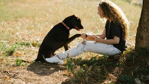 Cum te poate ajuta știința să-ți dresezi cățelul: Ce spune un studiu despre primele semne ale inteligenței patrupedului (VIDEO)