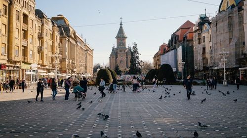 Proiect de regulament pentru cei care vor să cânte pe străzile din Timișoara: Vor da examen și trebuie să-și mute locul din oră în oră