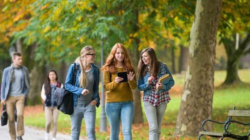 GRAFIC Domeniile cu cele mai multe locuri de muncă, până în 2030: România va avea nevoie de peste 150 de mii de profesori