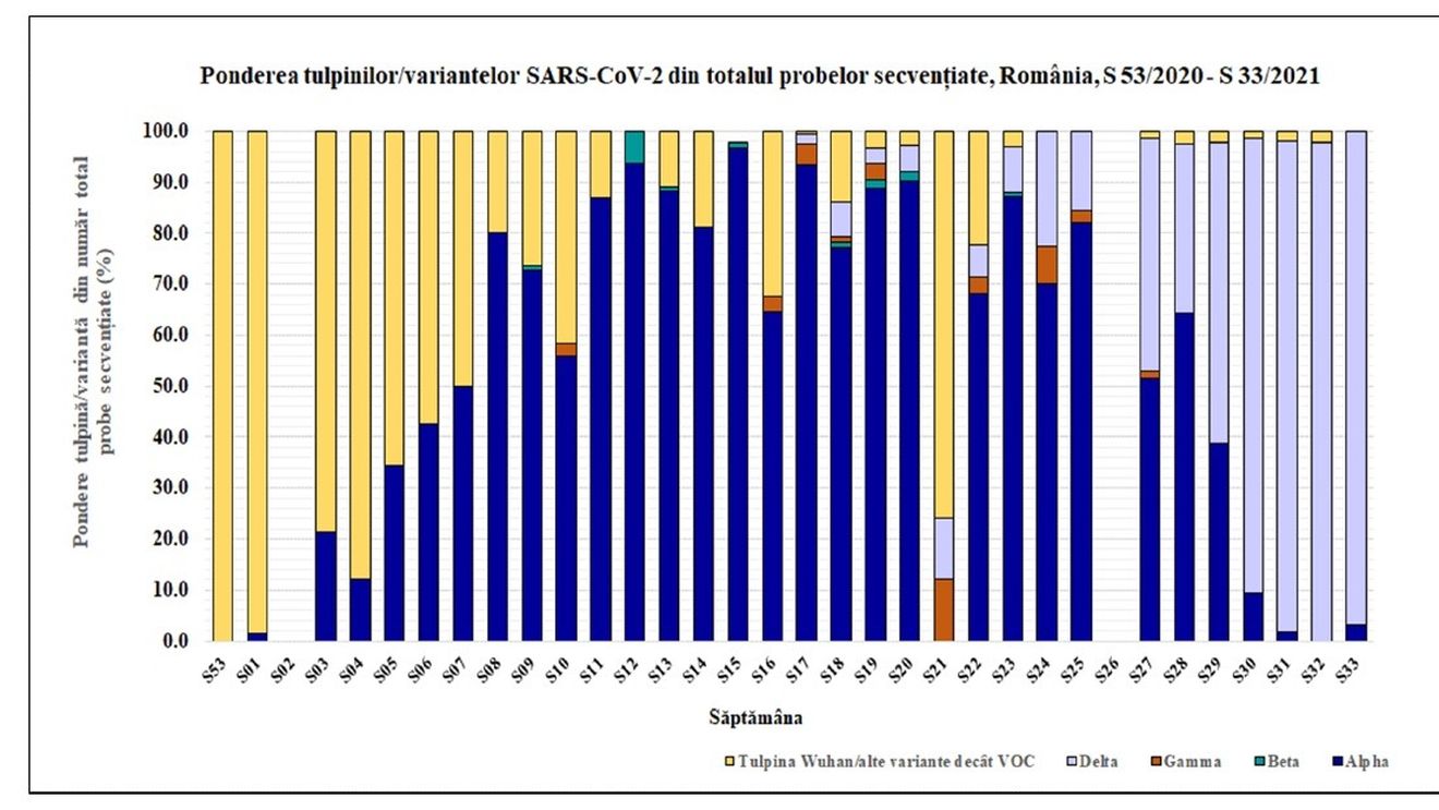 Încă trei decese la pacienți infectați cu varianta Delta, între care un bărbat de 56 de ani vaccinat / 40% din infectările cu noua tulpină nu au nicio legătură epidemiologică / Gheorghiță: Când se ajunge la 50% înseamnă că a devenit dominantă