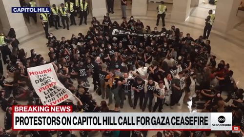 VIDEO Peste 300 de persoane au fost arestate după ce s-au adunat la Capitoliu pentru a protesta faţă de războiul dintre Israel şi Hamas