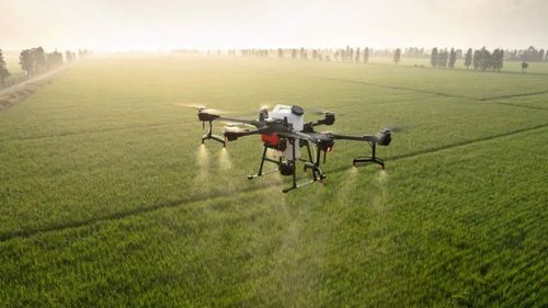 Inteligența artificială intră în agricultura locală, cu rezultate concrete: mâncare mai sănătoasă, producție mai mare și albine protejate / În România soluțiile IA sunt utilizate de fermele medii și mari, cu manageri tineri