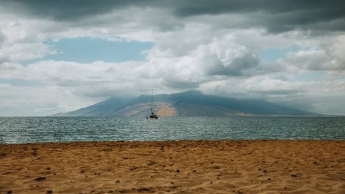 Oamenii de știință au descoperit o pădure străveche ascunsă pe o insulă fără copaci. Cercetătorii estimează că arborii ar avea o vârstă între 15 milioane și 30 de milioane de ani