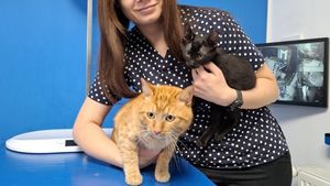 Interviu exclusiv | Insuficiența renală, o afecțiune predominantă la pisicile senioare: Ce spune medicul veterinar Medeea Iliopolos despre simptome, tratament și prevenție