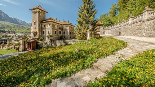 Reprezentanții Castelului Cantacuzino nu sunt de acord cu proiectul autostrăzii Ploiești – Brașov / ”Va duce la distrugerea întregii industrii turistice din Buşteni şi împrejurimi” / Primar: ”Dacă statul român investeşte, cine e Castelul Cantacuzino să se opună?”