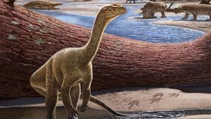 Oamenii de știință au descoperit în Zimbabwe cel mai vechi dinozaur din Africa, care are o vechime de peste 230 de milioane de ani