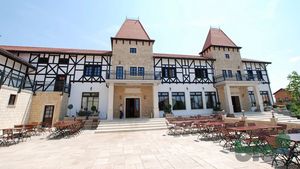 O clinică din Timișoara s-ar putea muta într-o berărie /  Castelul Royal de la Moșnița Nouă e scos de vânzare la 4 milioane de euro / Consiliul Județean Timiș l-ar cumpăra cu 2 milioane