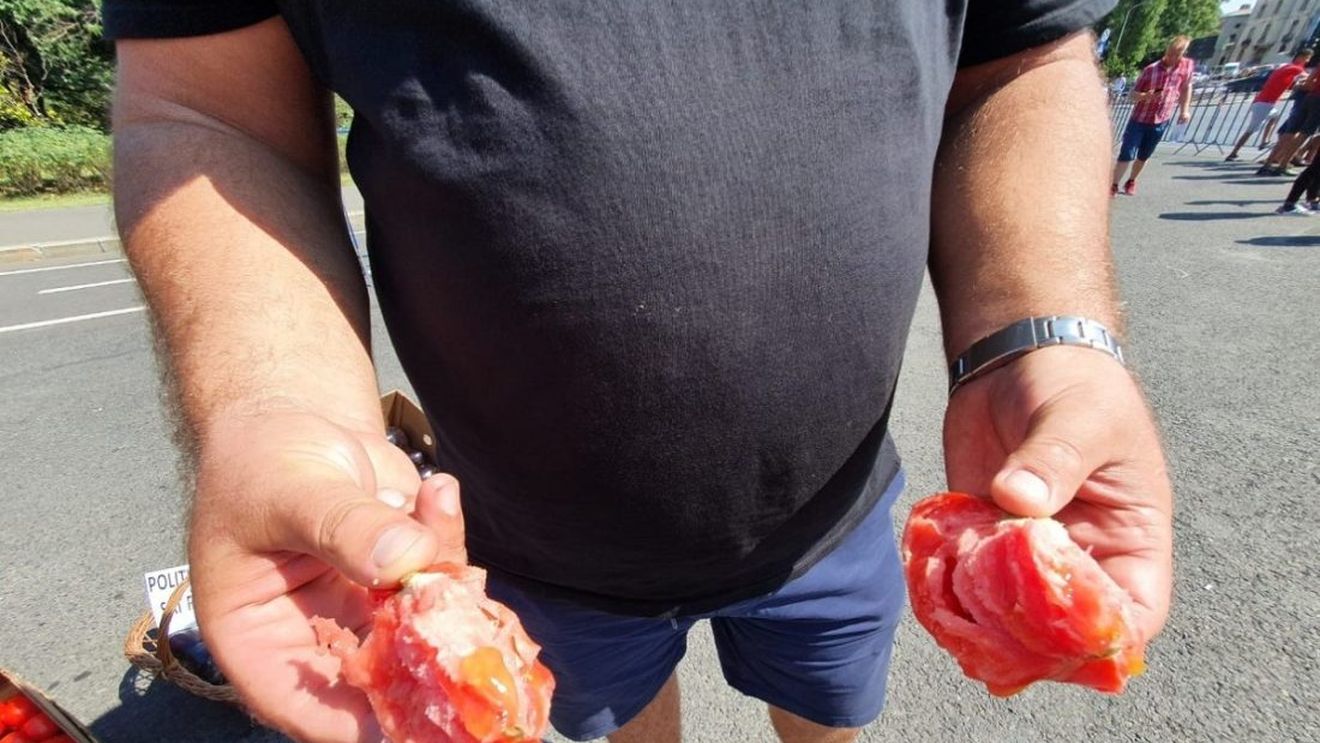 Euronews: Producţia alimentară din România este în pericol din cauza secetei
