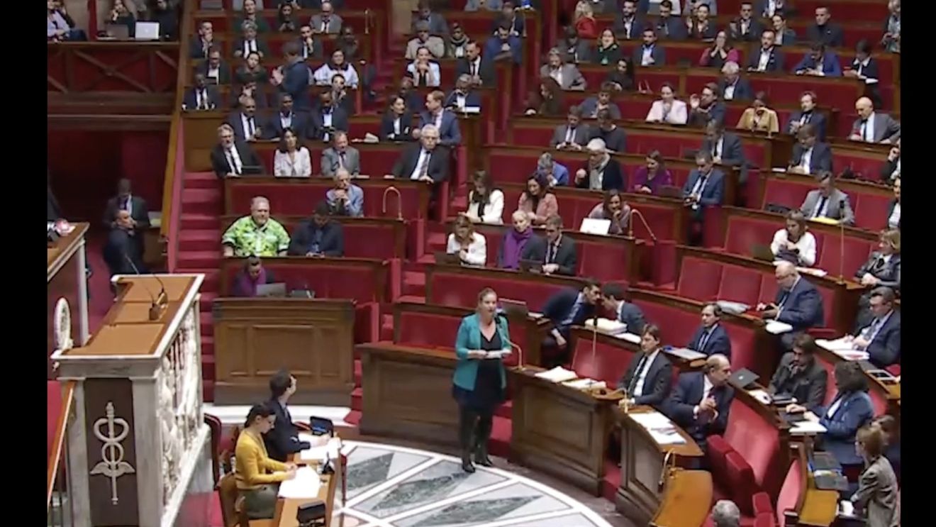 O lege împotriva intruziunii externe, adoptată definitiv de Parlamentul francez