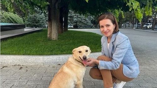 Povestea câinelui șchiop Codruț care l-a mușcat pe președintele Austriei: a fost adoptat de Maia Sandu după un accident