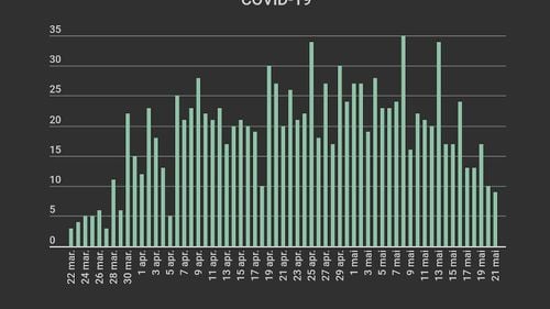 Două luni de la primul deces COVID-19 în România. Bilanțul victimelor a ajuns la 1.156, iar în cea mai neagră zi au fost raportați 35 de morți INFOGRAFIC