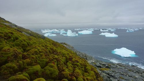 Încălzirea oceanelor ameninţă să destabilizeze banchizele din Antarctica, avertizează un studiu