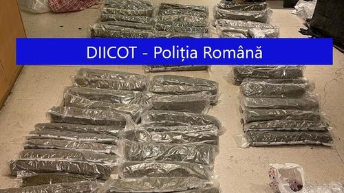 DIICOT: Cantități mari de droguri din Spania, aduse de traficanți în România prin firme de curierat / Procurorii au reținut patru persoane / Drogurile urmau să fie comercializate în zona București-Ilfov