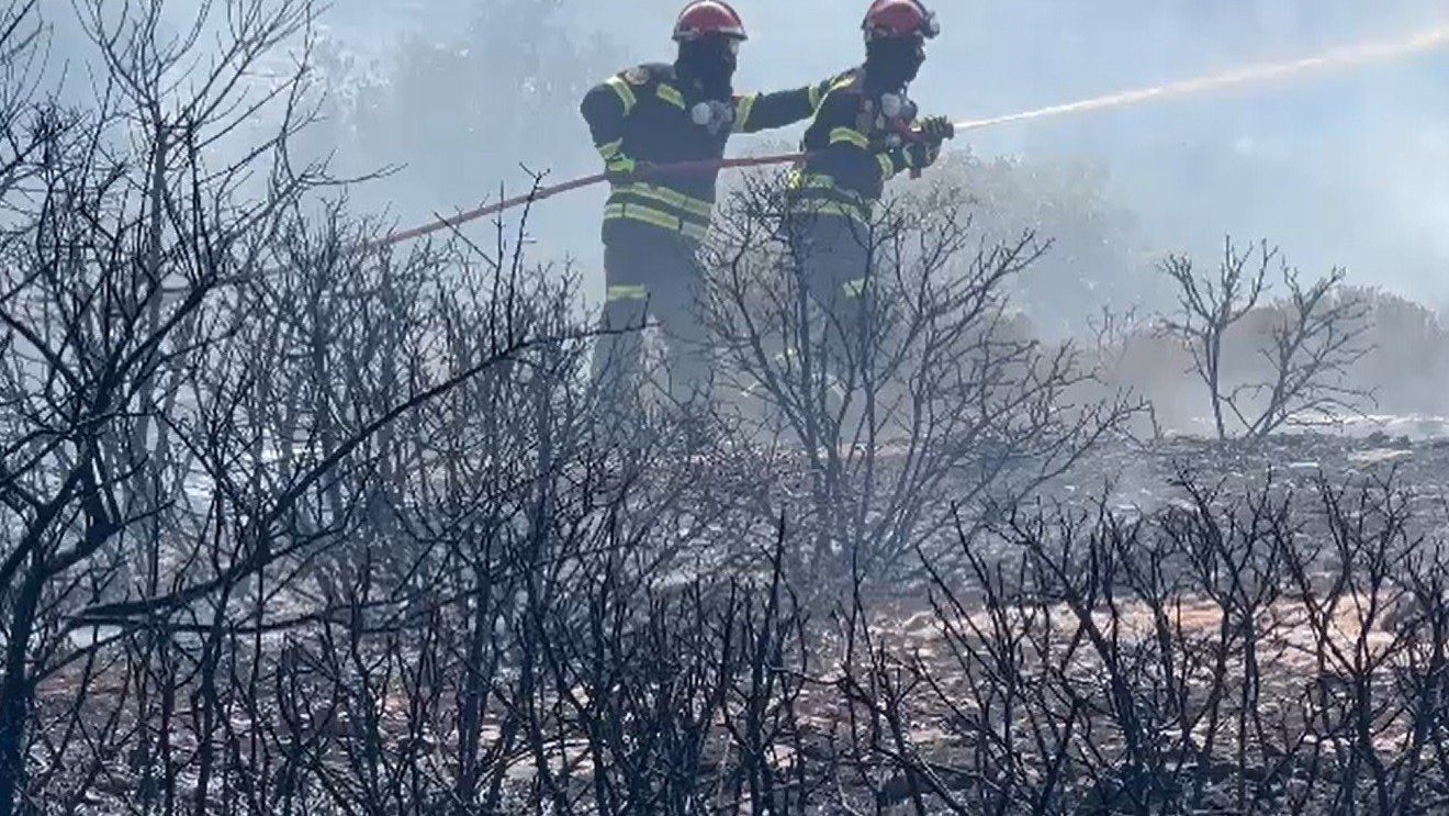 Incendiu într-o pădure din Vâlcea / Traficul pe DN 7, în zona Golești, este restricţionat în zonă din cauza fumului