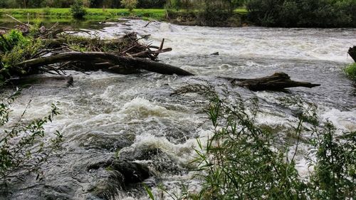 Cod galben de inundaţii pe râuri din cinci judeţe, pe parcursul zilei de miercuri