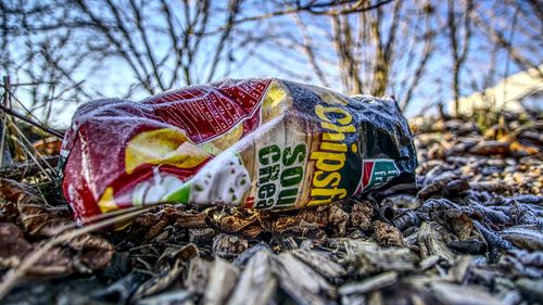 Căprior mort la Zoo Craiova din cauza ambalajelor de plastic aruncate de către vizitatori / Printre cele mai periculoase produse oferite de vizitatori sunt chipsurile și pufuleții