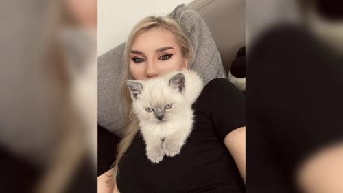 Românii sunt cei mai mari iubitori de pisici din Europa. „E și nevoia de a avea pe cineva, frica de singurătate”