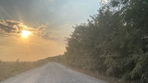 REPORTAJ Cum a ajuns războiul ultima șansă pentru localnicii din Deltă ca drumul alb de 70 de km să fie asfaltat / „S-a mirat și ministrul cât de izolați suntem aici” / „Dacă nu reușim acum, nu știu când”