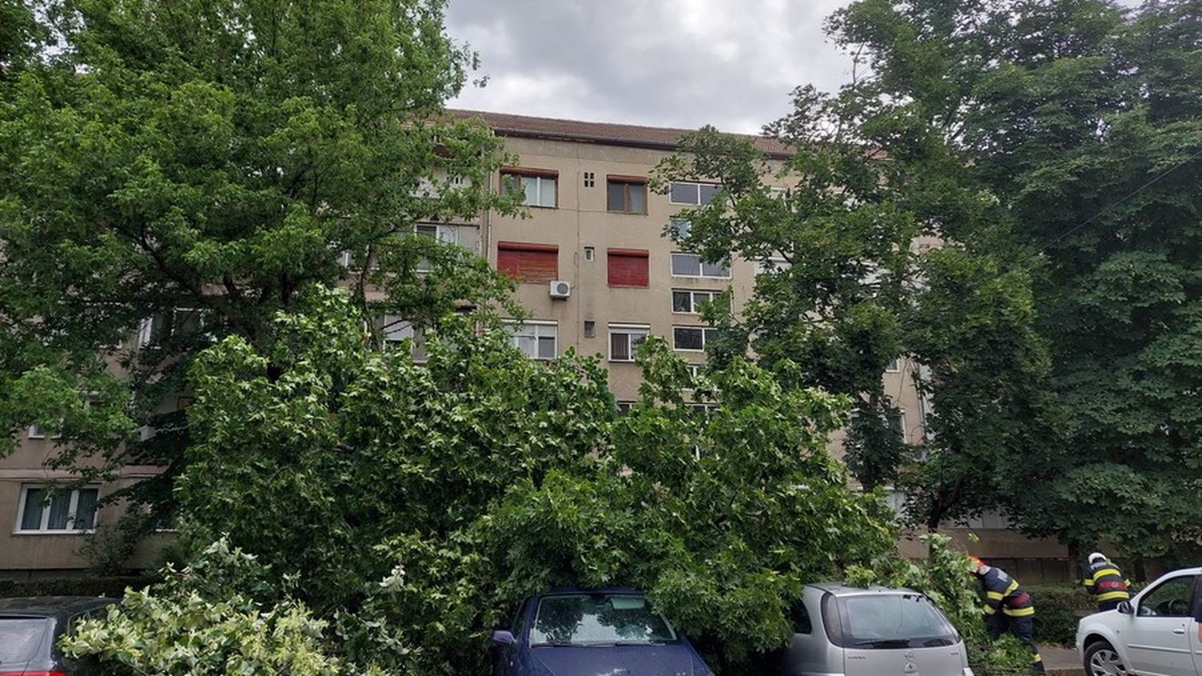 Oradea: Furtuna de vineri după-masa a lăsat pagube semnificative pe străzile orașului / Mașini avariate în parcări, după ce vântul puternic a doborât mai mulți copaci