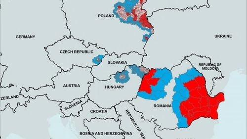 EXCLUSIV Harta pestei porcine africane în UE: România, țara cea mai afectată de virusul care omoară porcii