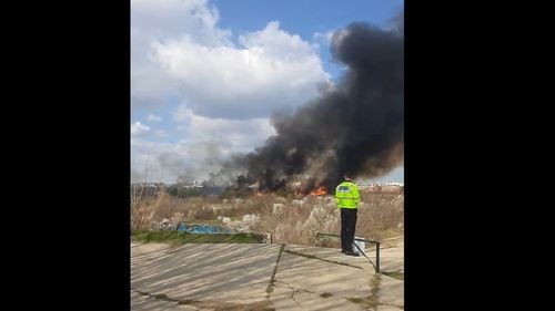 Incendiu puternic în Delta Văcărești. Focul a cuprins circa o mie de metri pătrați